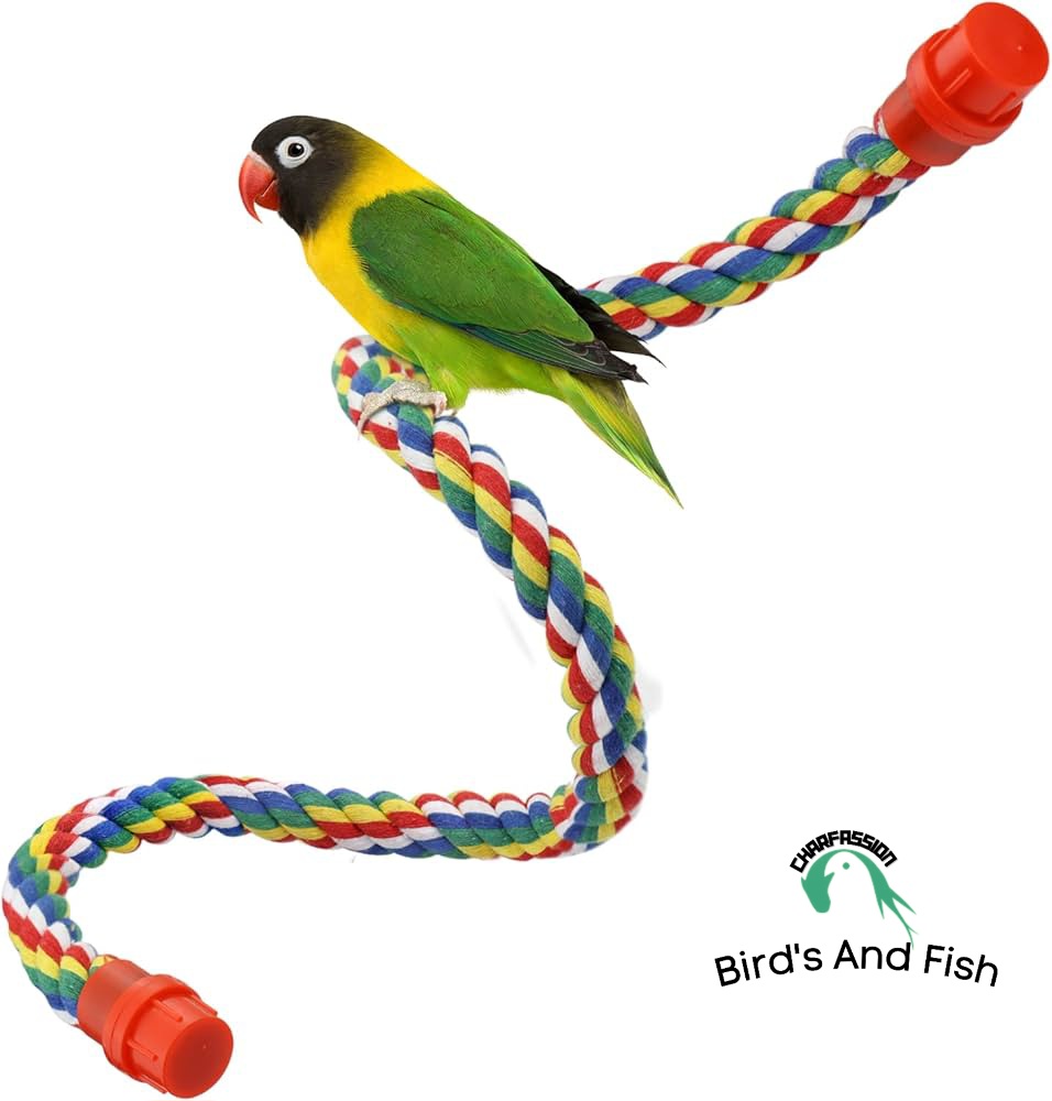 রশি দোলনা_img_1