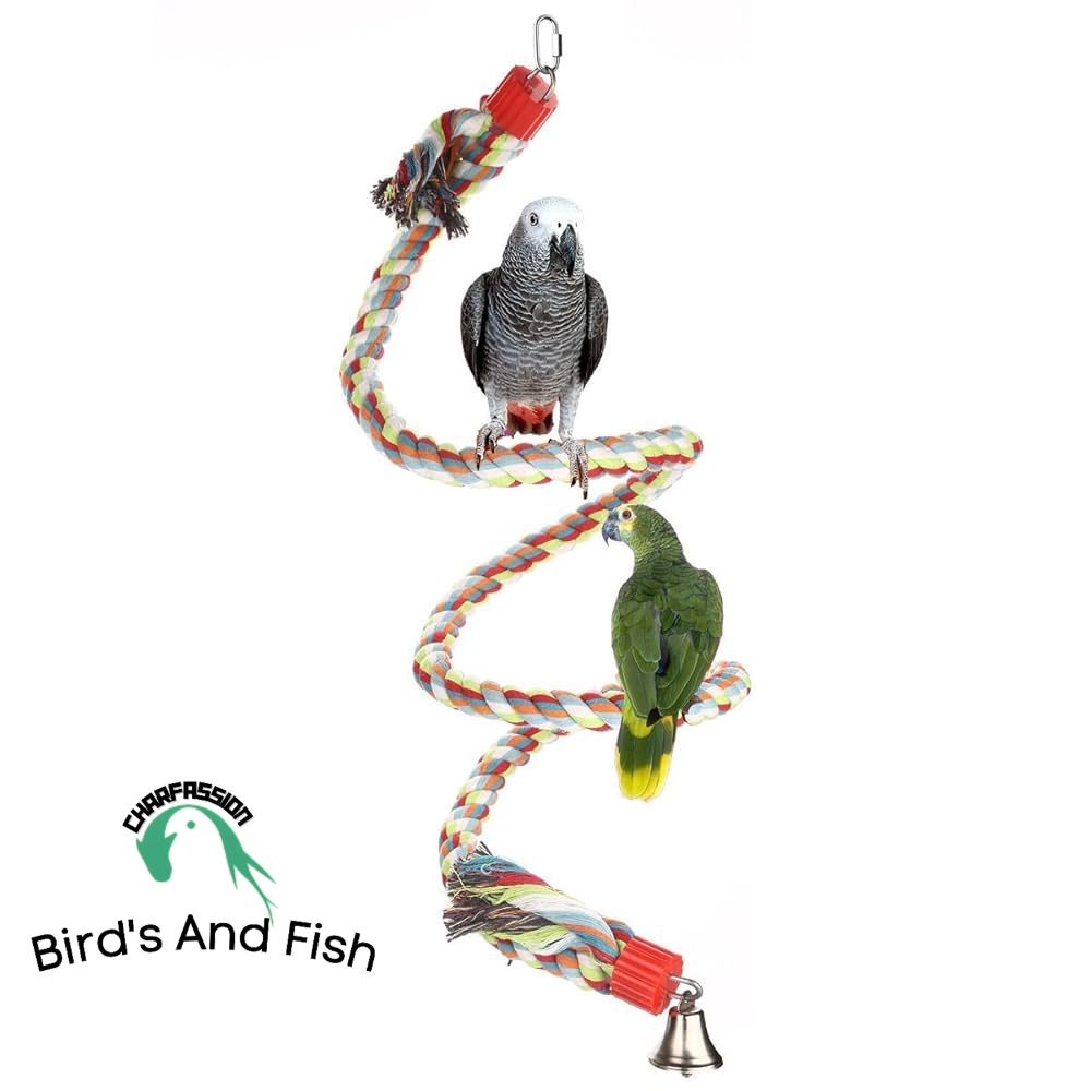 রশি দোলনা_img_2