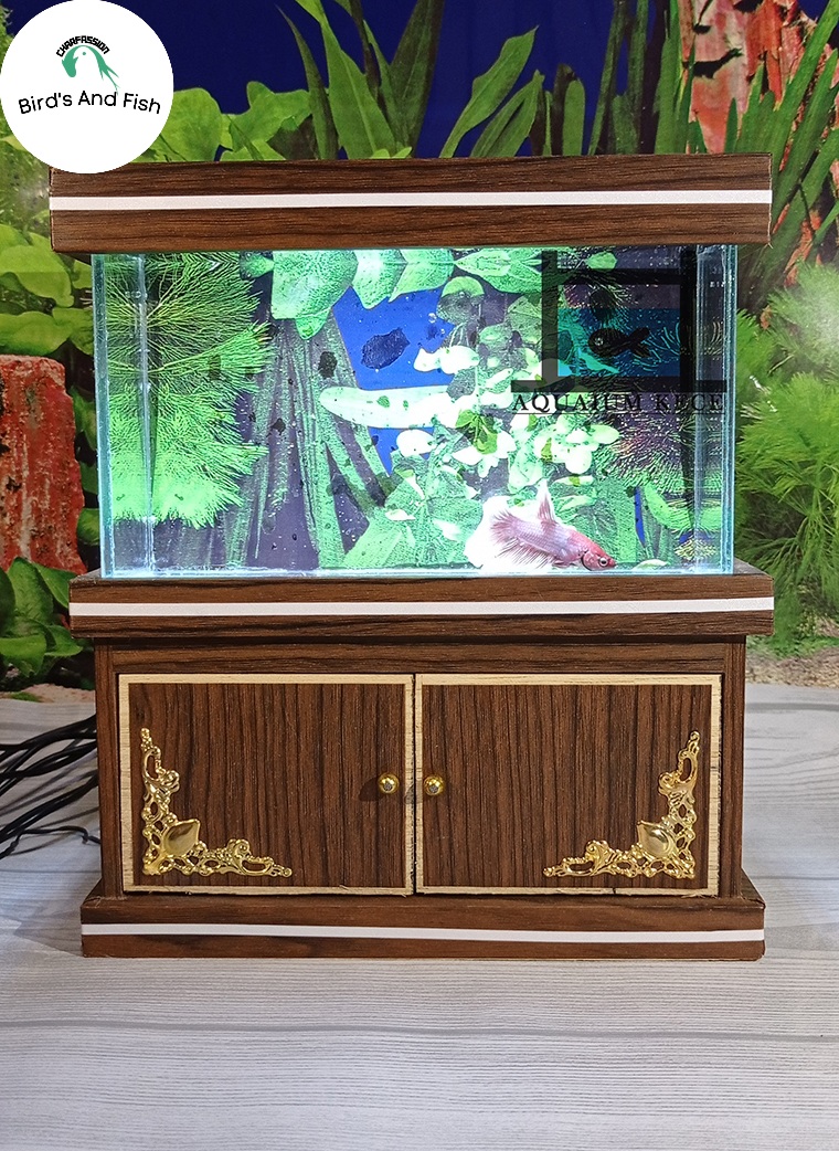 নটি বয় একুরিয়াম অক্সিজেন