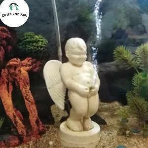 নটি বয় একুরিয়াম অক্সিজেন_img_2