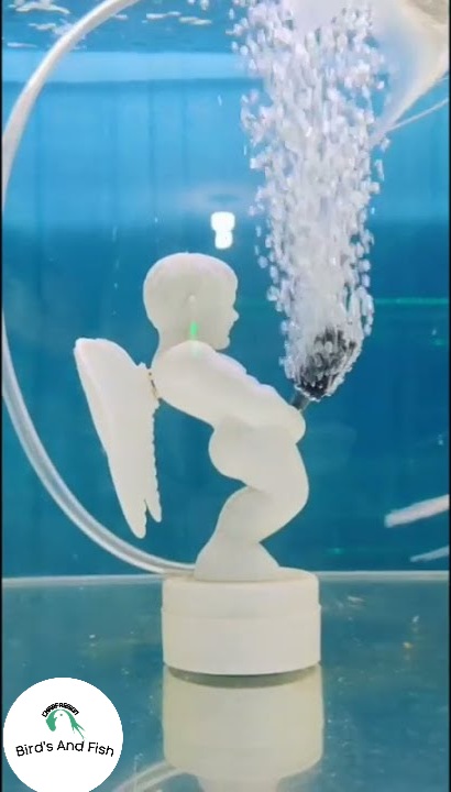 নটি বয় একুরিয়াম অক্সিজেন_img_3