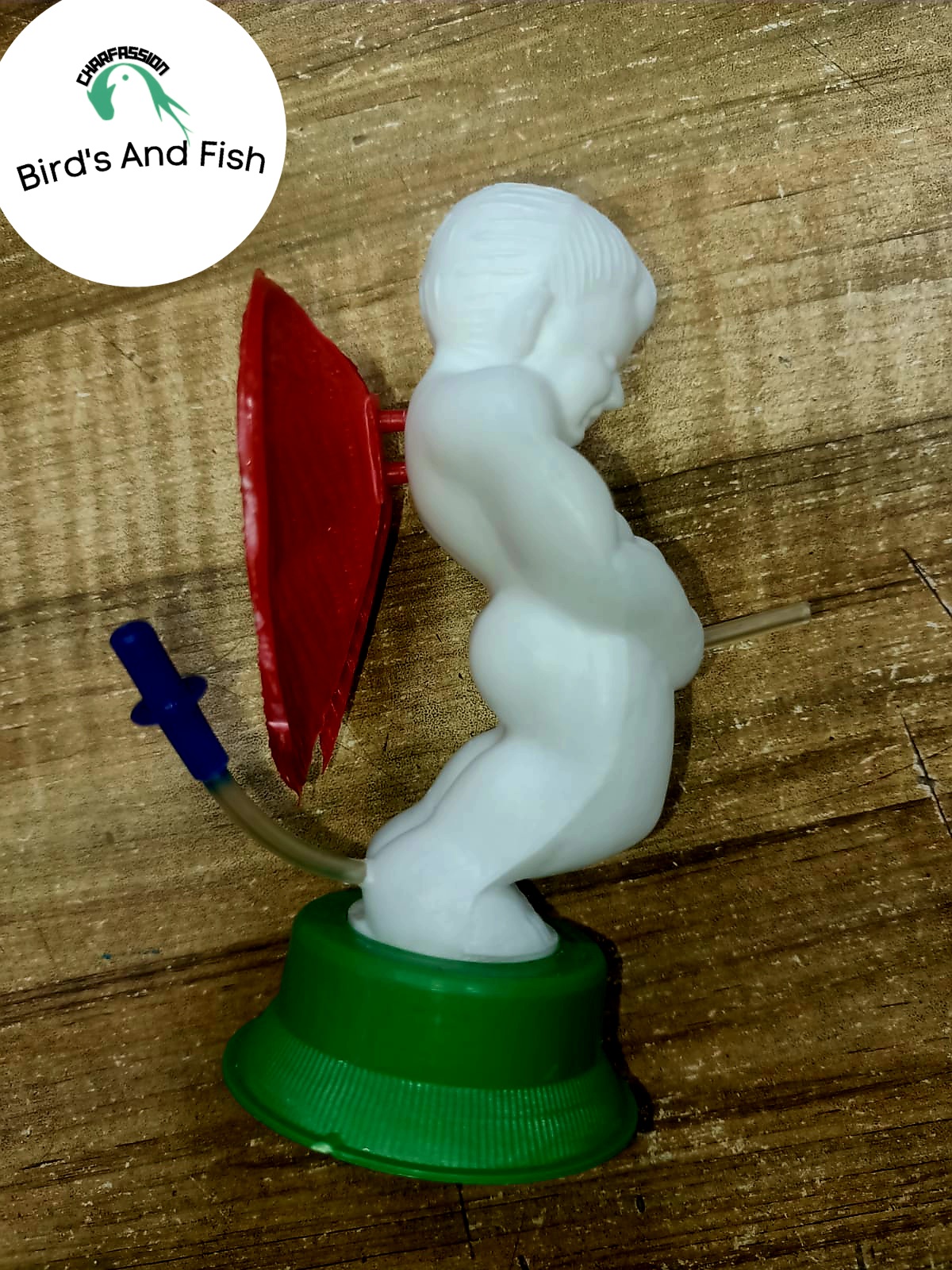 নটি বয় একুরিয়াম অক্সিজেন_img_4