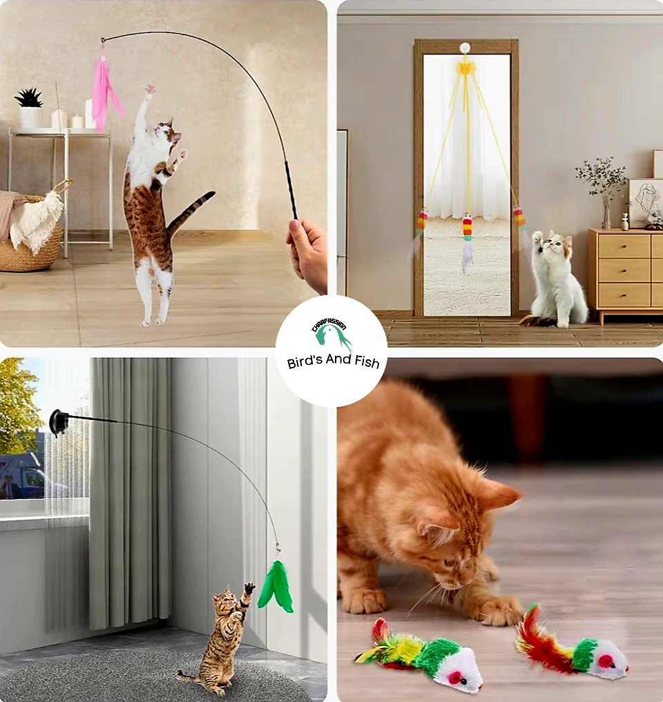 ক্যাট স্টিক টই