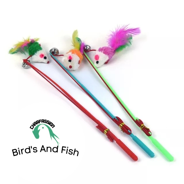 ক্যাট স্টিক টই_img_2