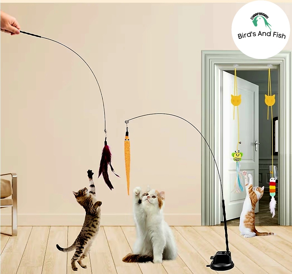 ক্যাট স্টিক টই_img_4