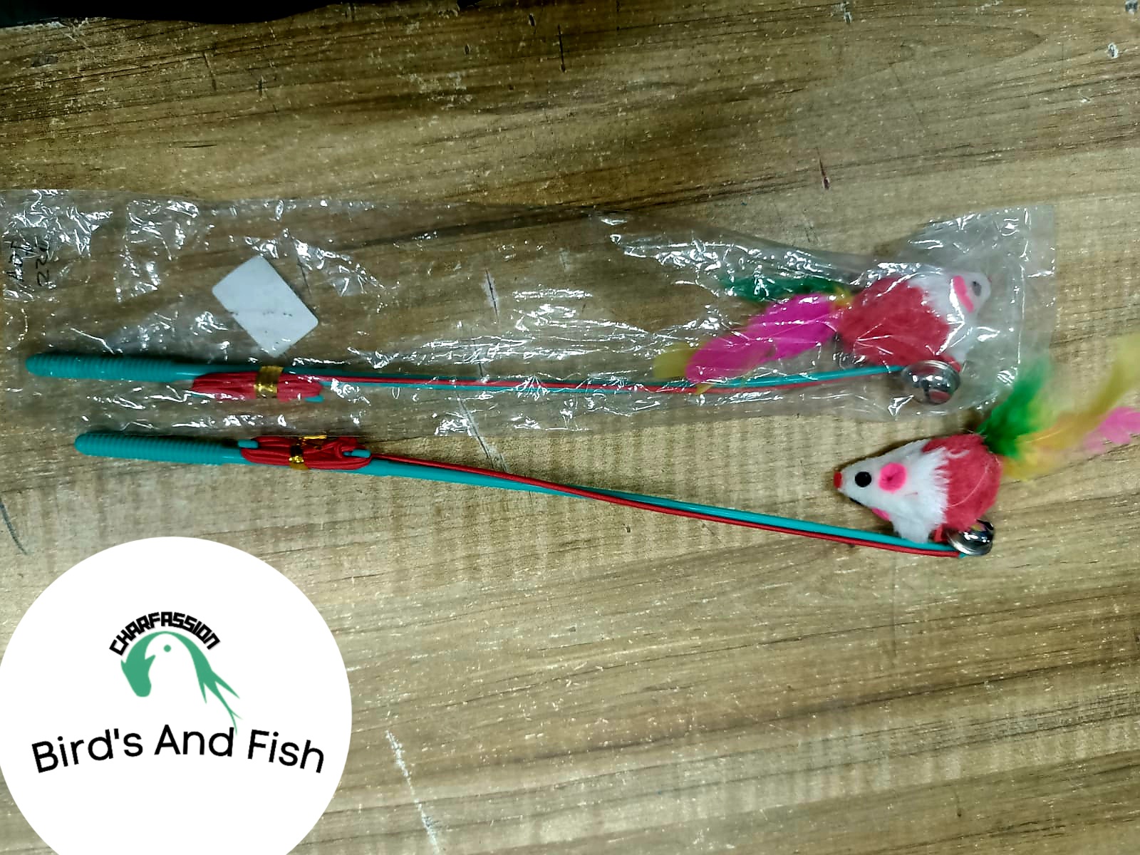 ক্যাট স্টিক টই_img_5