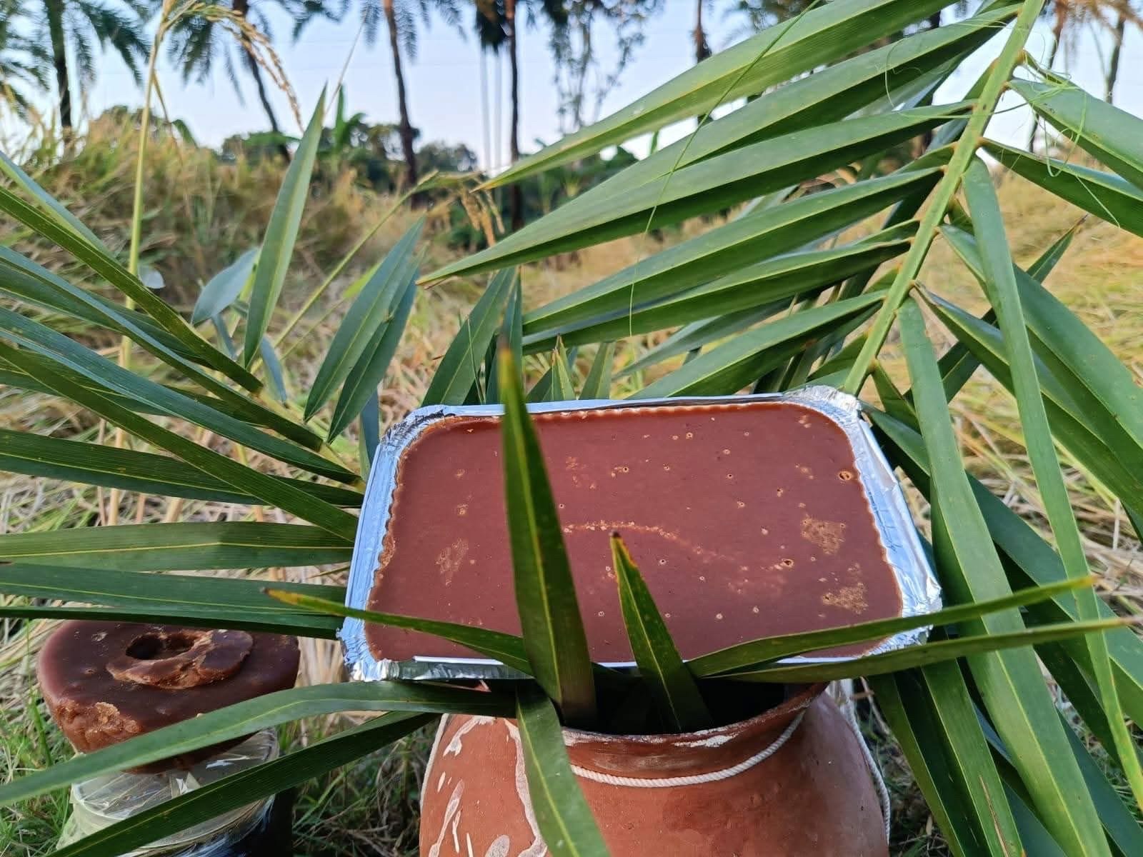 পিওর খেজুরের পাটালি গুঁড় (Khejurer Gur)_img_1