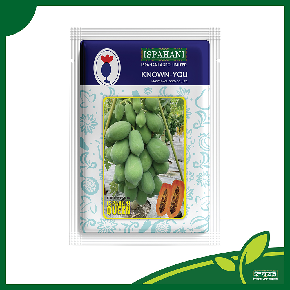 হাইব্রিড পেঁপে পুষ্টি । F1 Hybrid Papaya( pepe ) Seeds Pusti_img_0