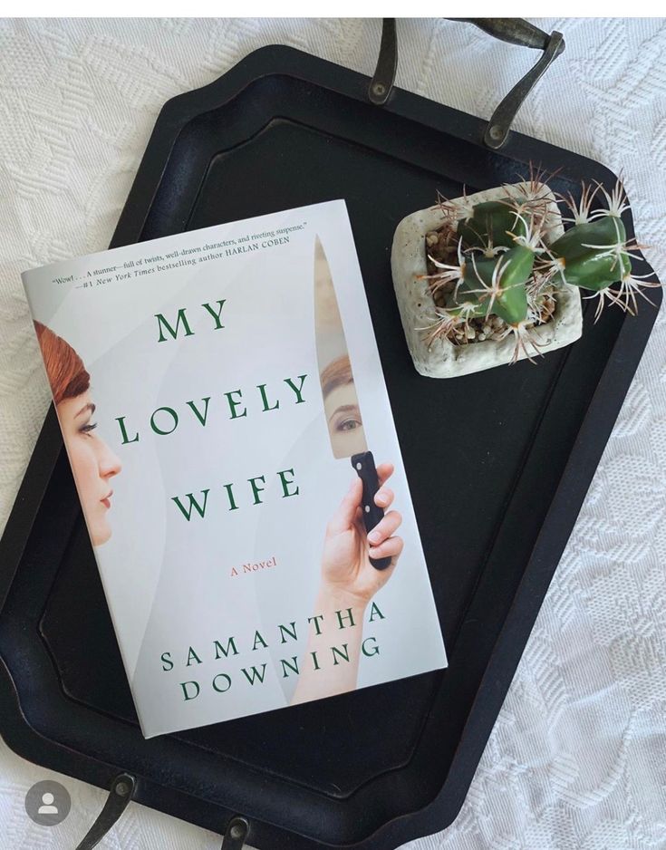 My Lovely Wife by Samantha Downing_img_0