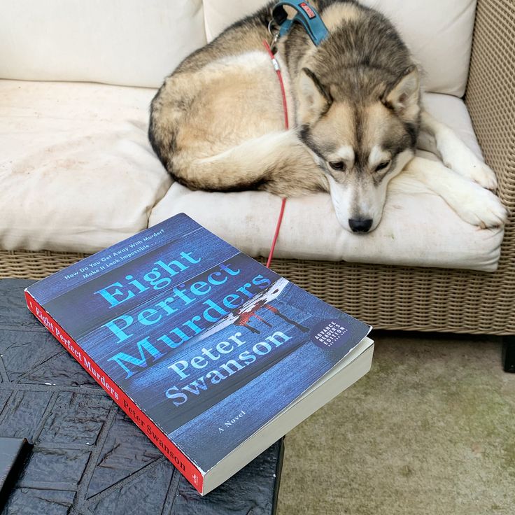 Eight Perfect Murders by Peter Swanson_img_1