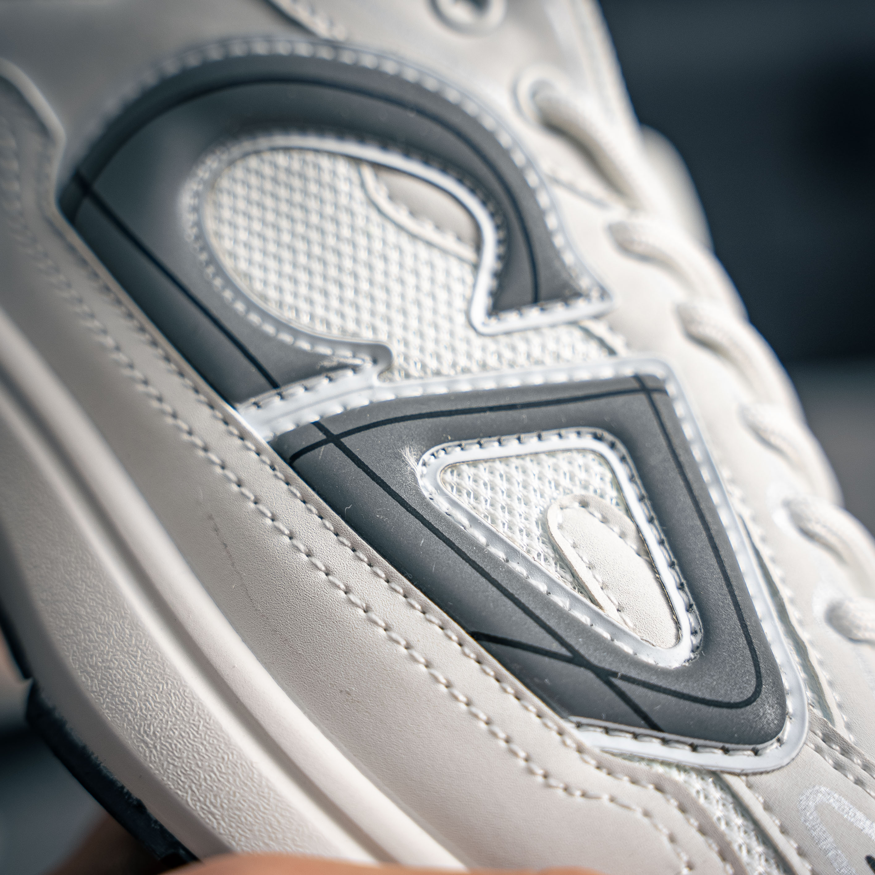 Dior B30 (1:1)_img_4