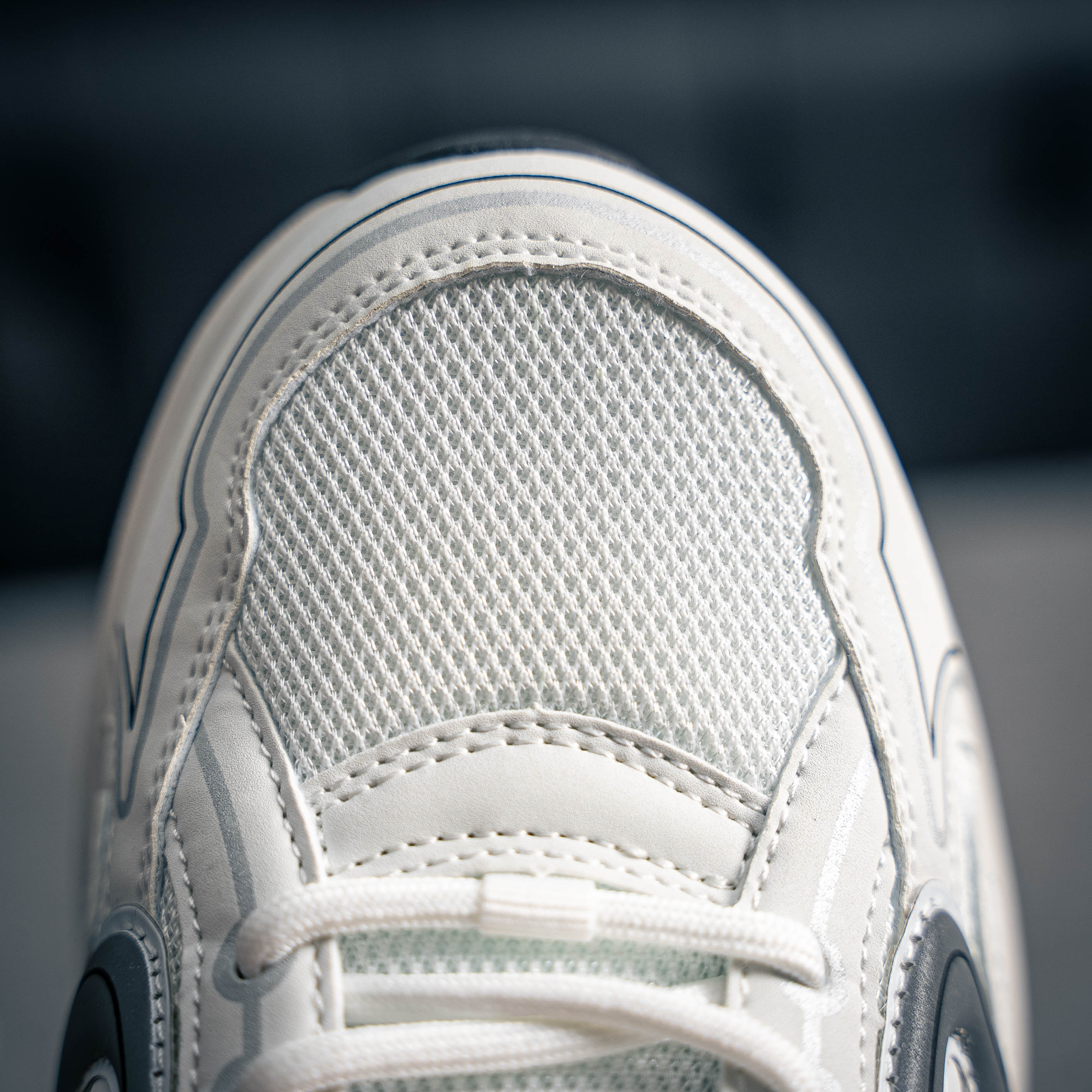 Dior B30 (1:1)_img_5