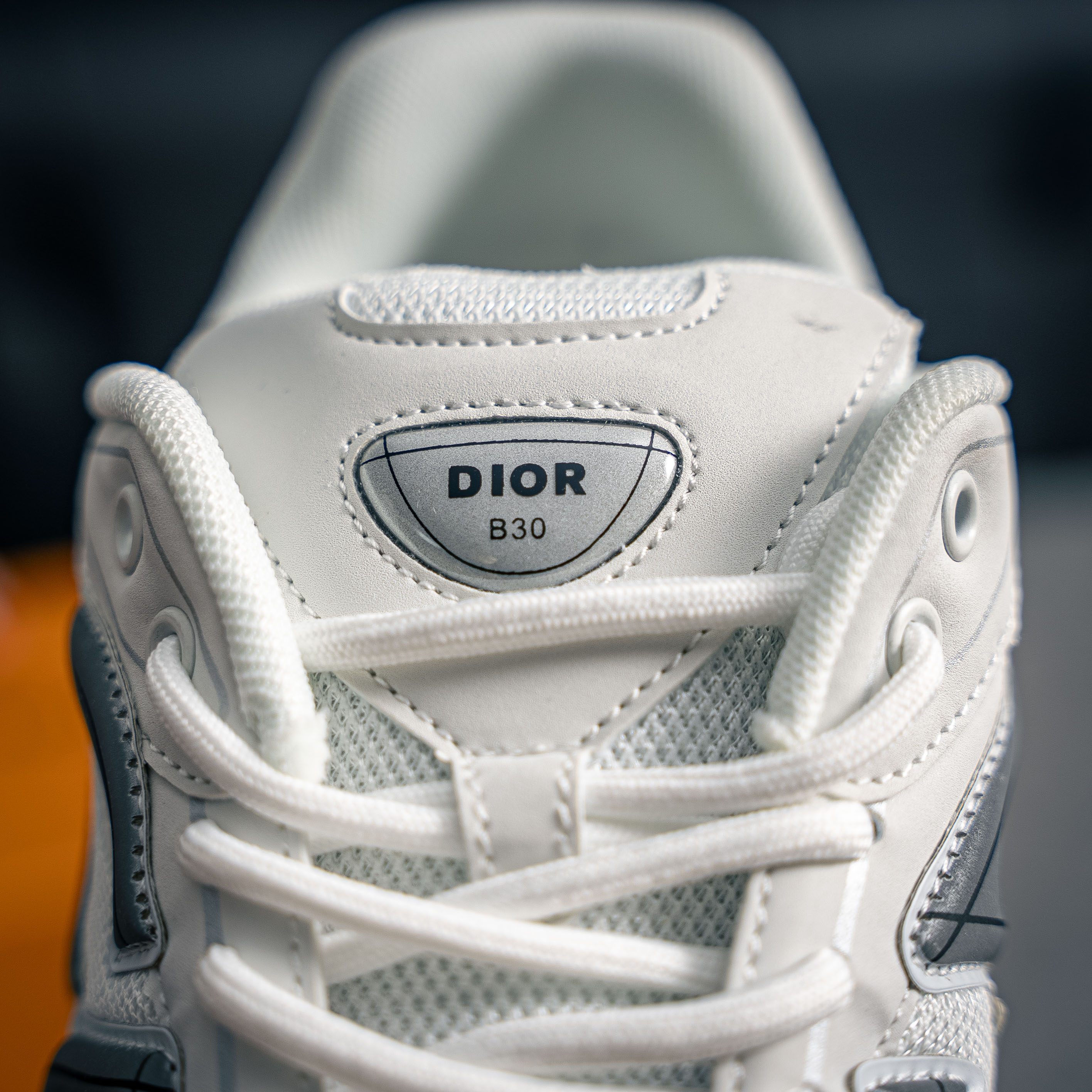 Dior B30 (1:1)_img_8