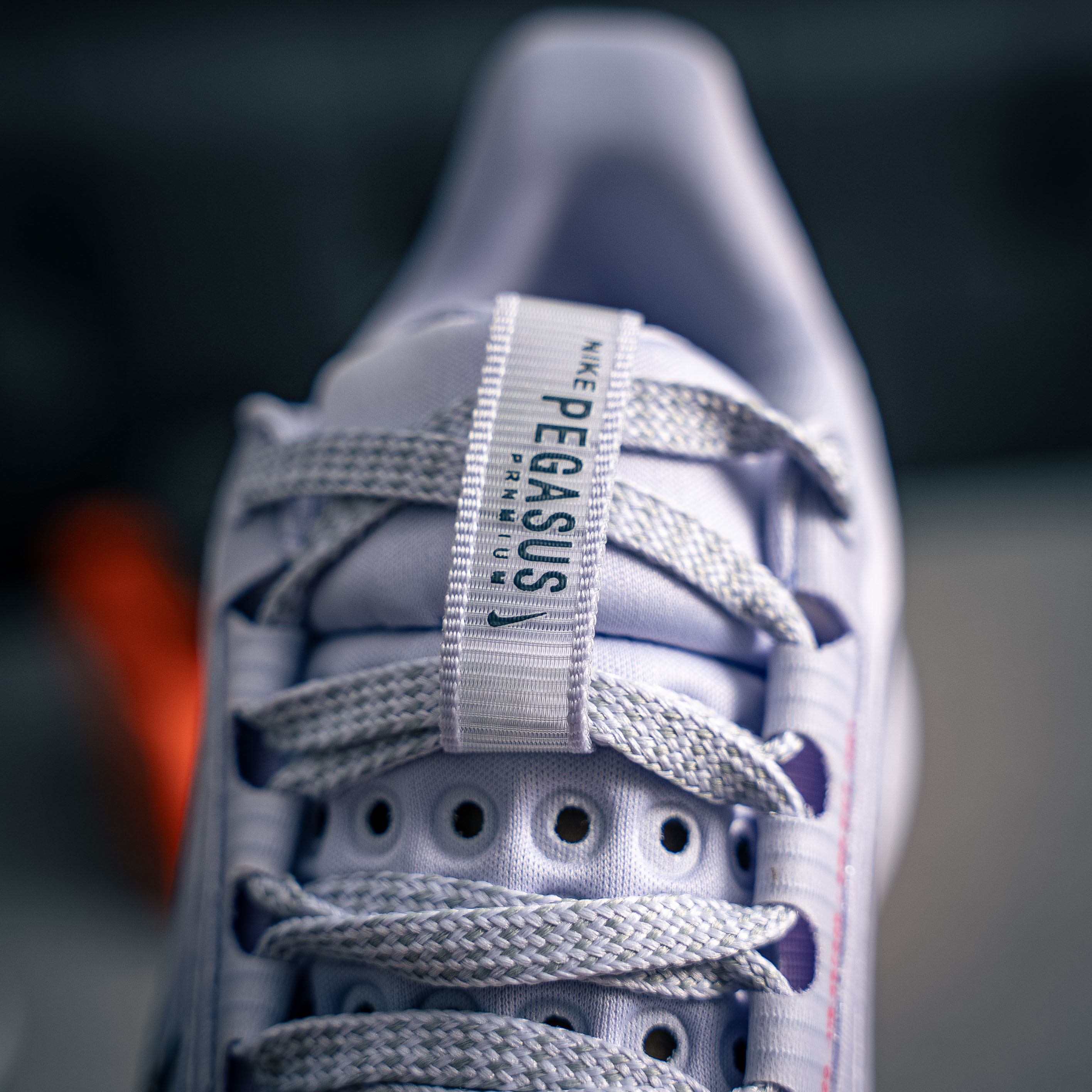 Nike Pegasus Premium (1:1)_img_5