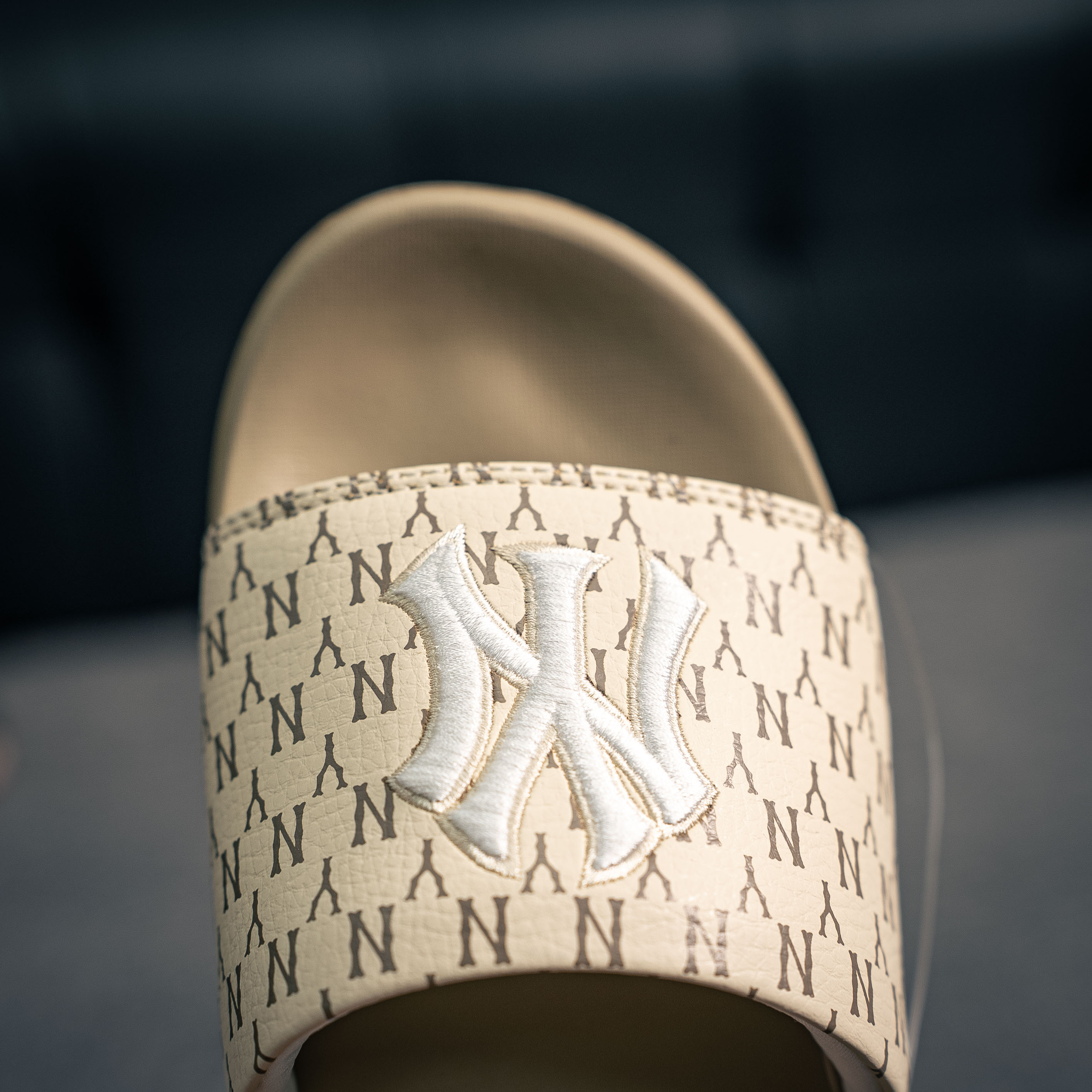 MLB New York Yankees slides (1:1)_img_5