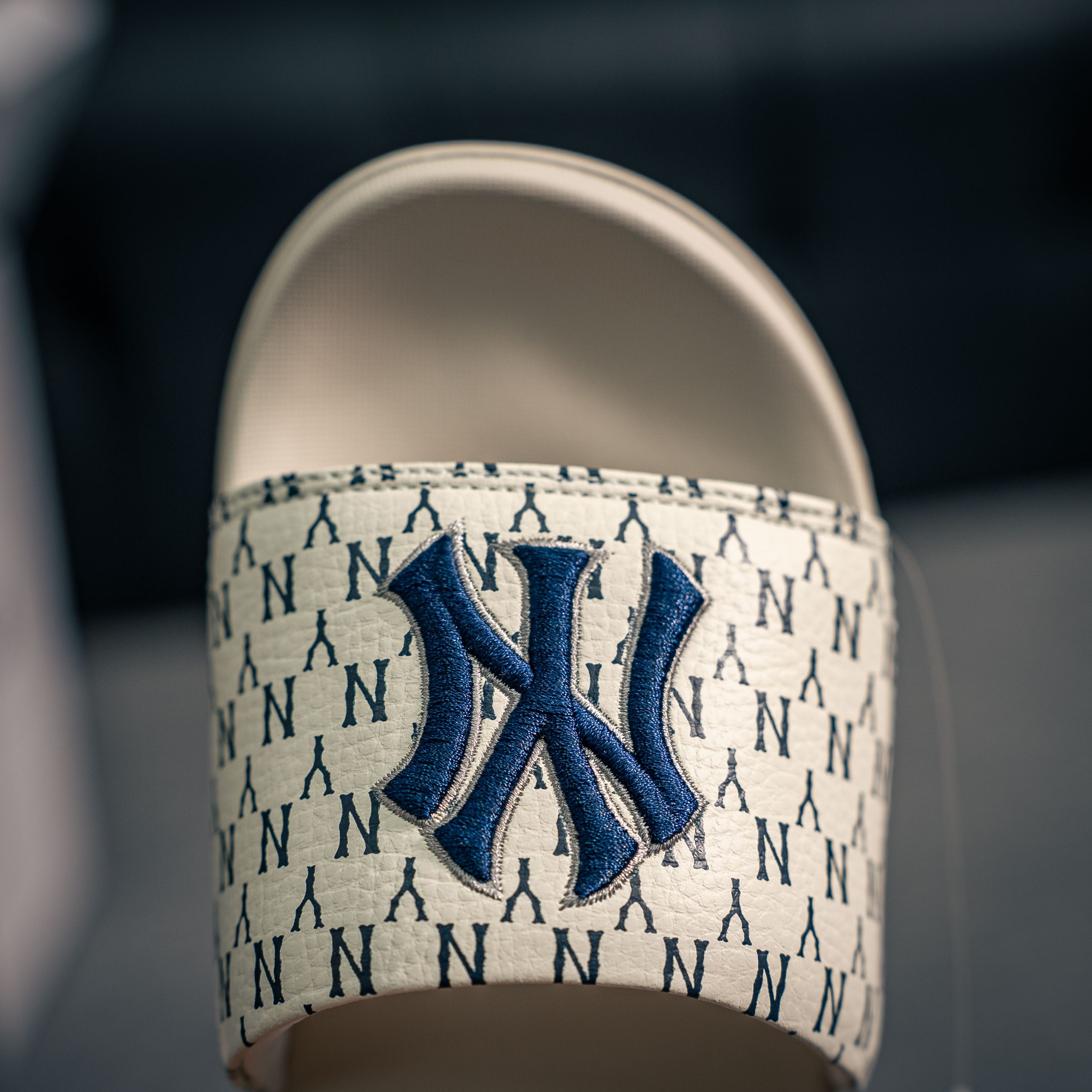 MLB New York Yankees slides (1:1)_img_5