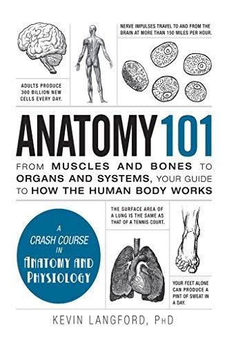 Anatomy 101 by Kevin Langford_img_0