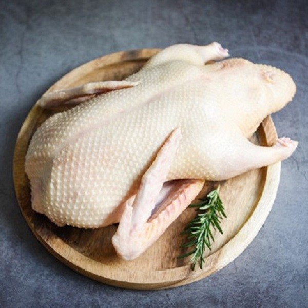 organic/Desi Duck._img_1