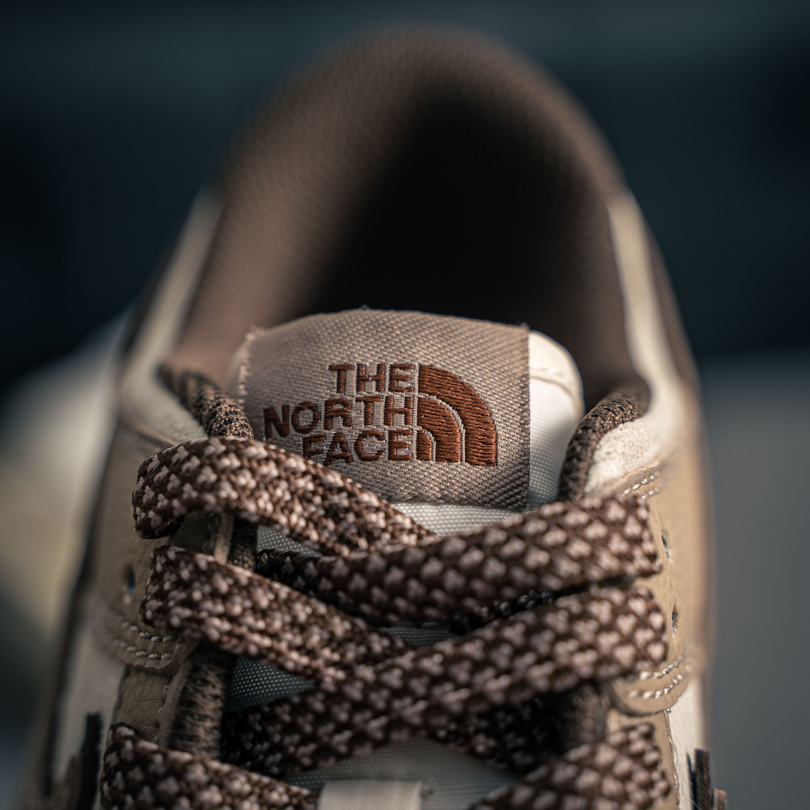 Nike SB Dunk Low (1:1)_img_5