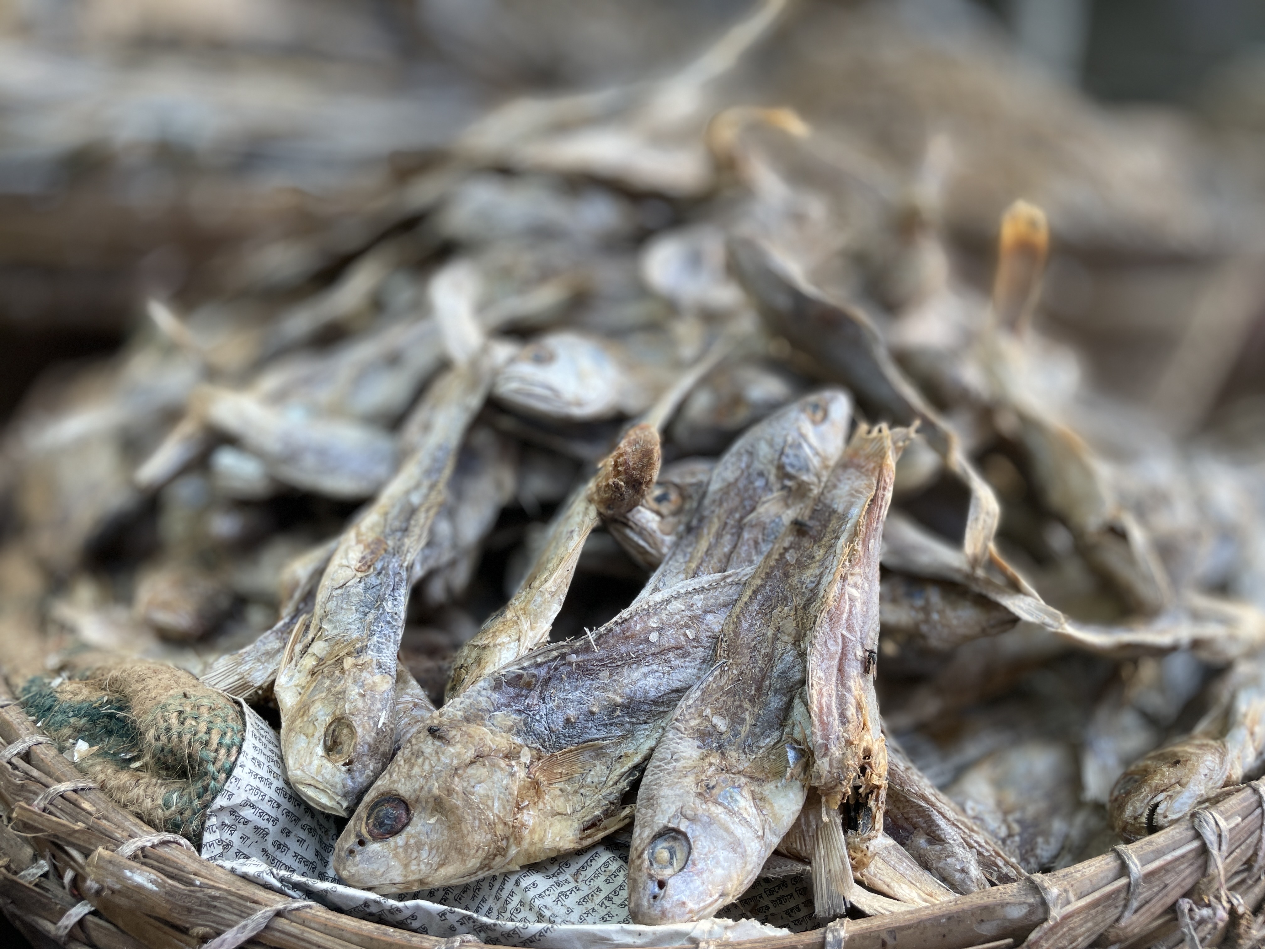 পোয়া শুঁটকি নন কাট (Poa Shutki)