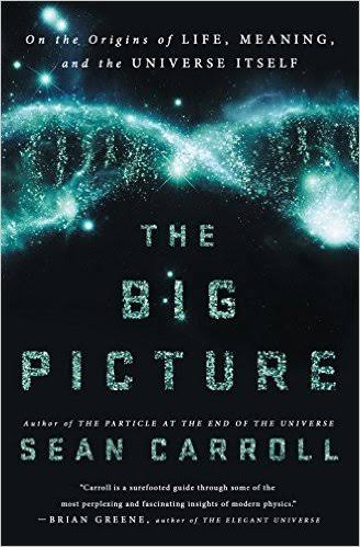 The Big Picture: On the Origins of Life, Meaning, and the Universe Itself_img_0