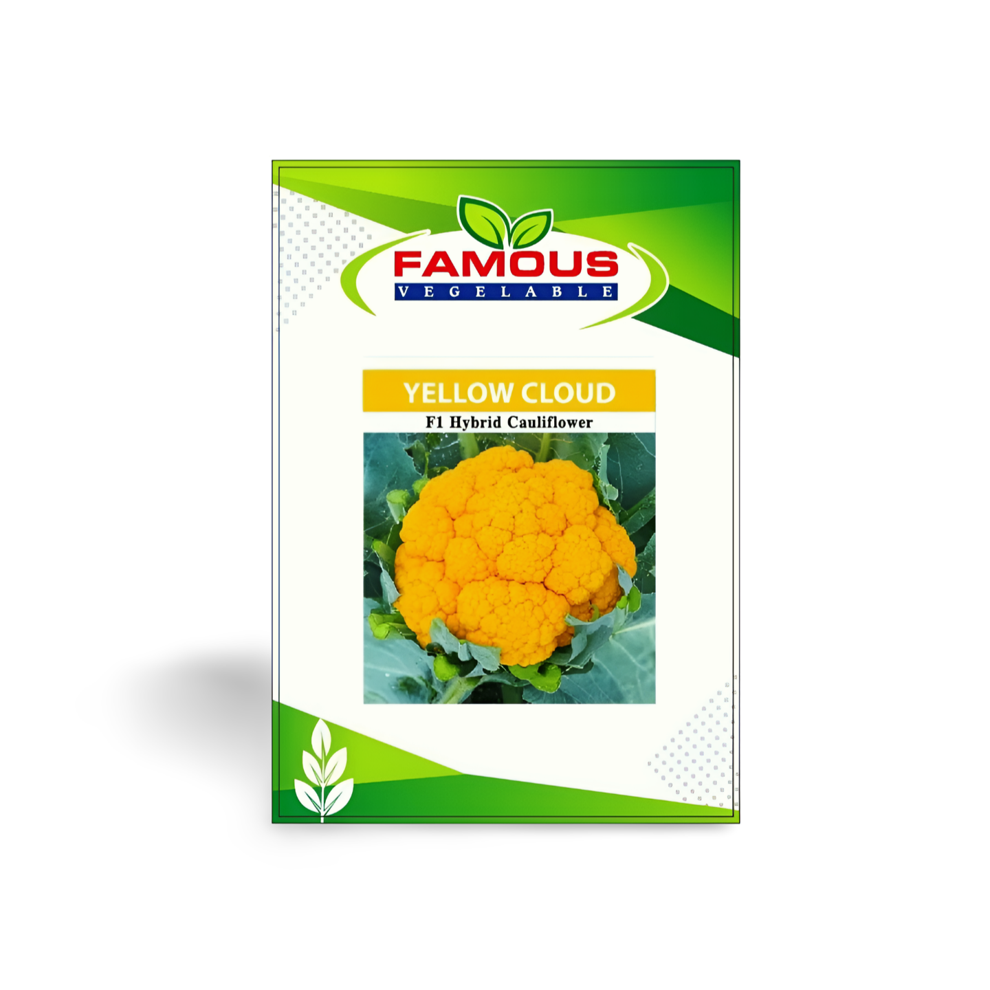 কমলা / হলুদ কালার রঙিন ফুলকপি ইয়োলো ক্লাউড । ORANGE colored cauliflower seeds YELLOW CLOUD_img_1