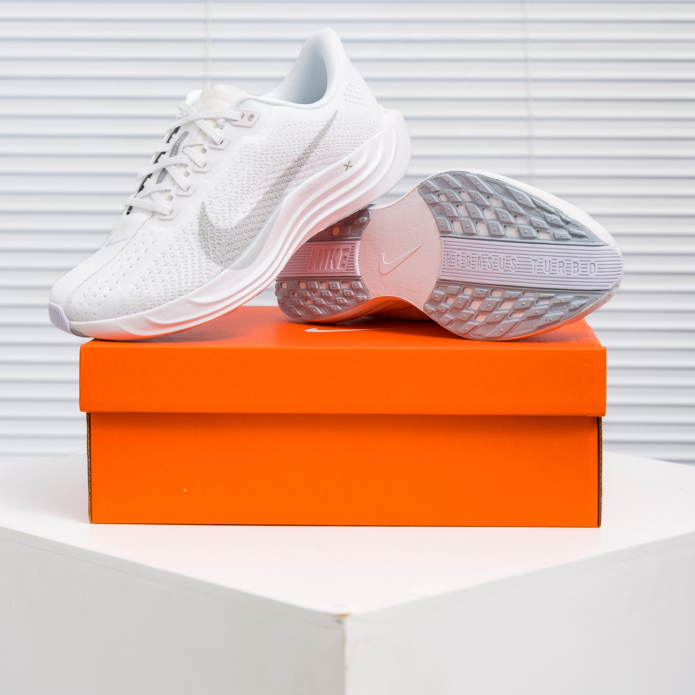 Nike Pegasus Plus (1:1)_img_0