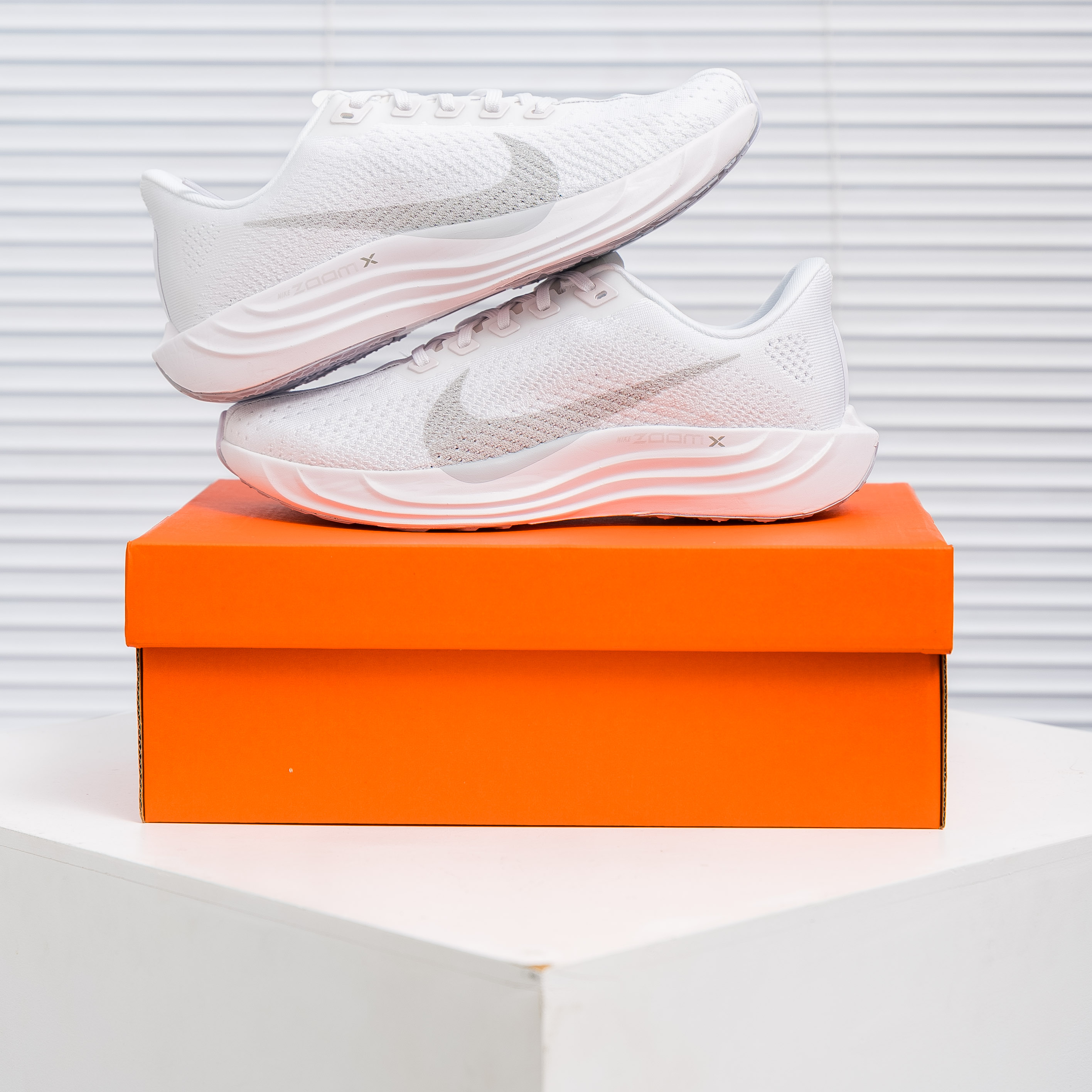 Nike Pegasus Plus (1:1)_img_1