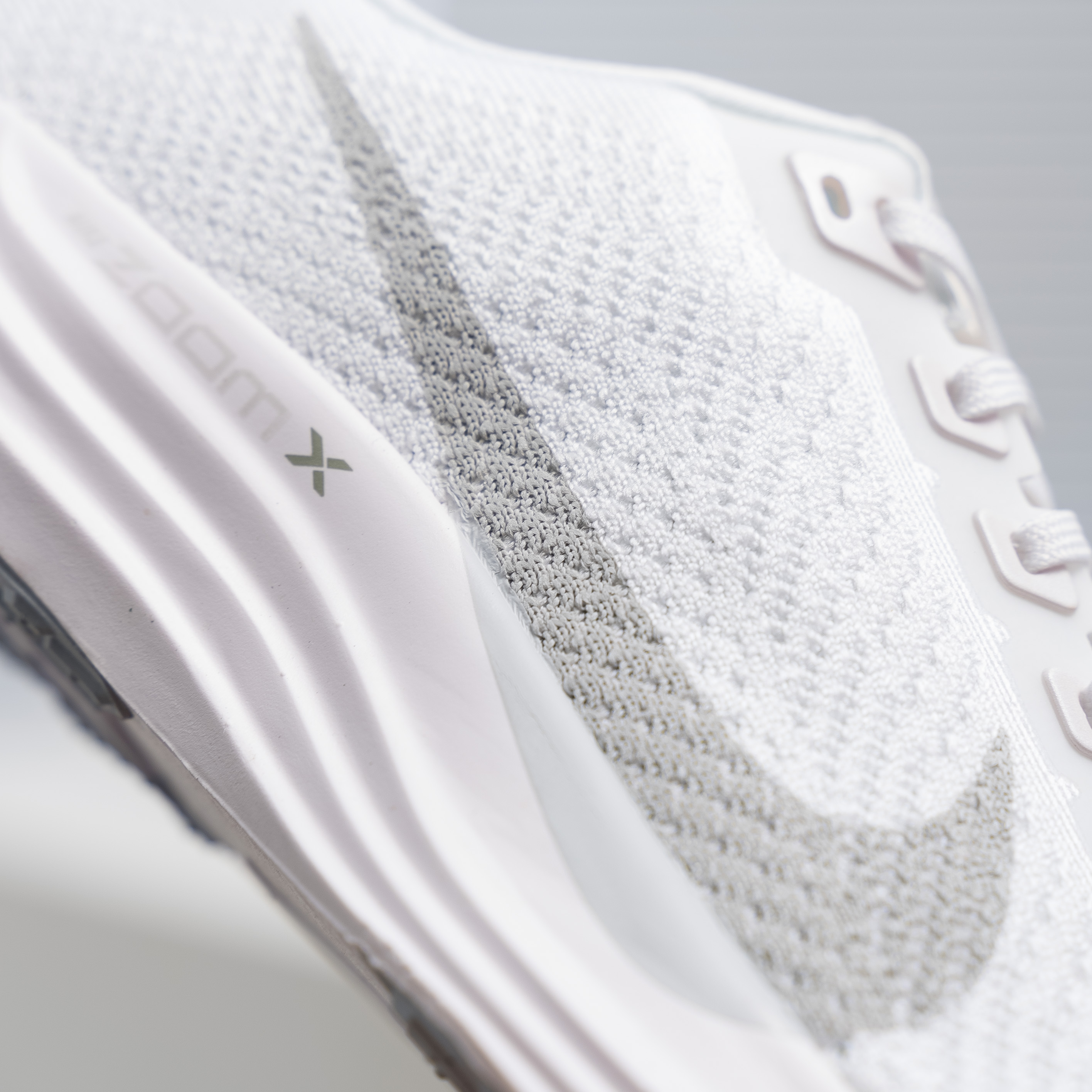 Nike Pegasus Plus (1:1)_img_2