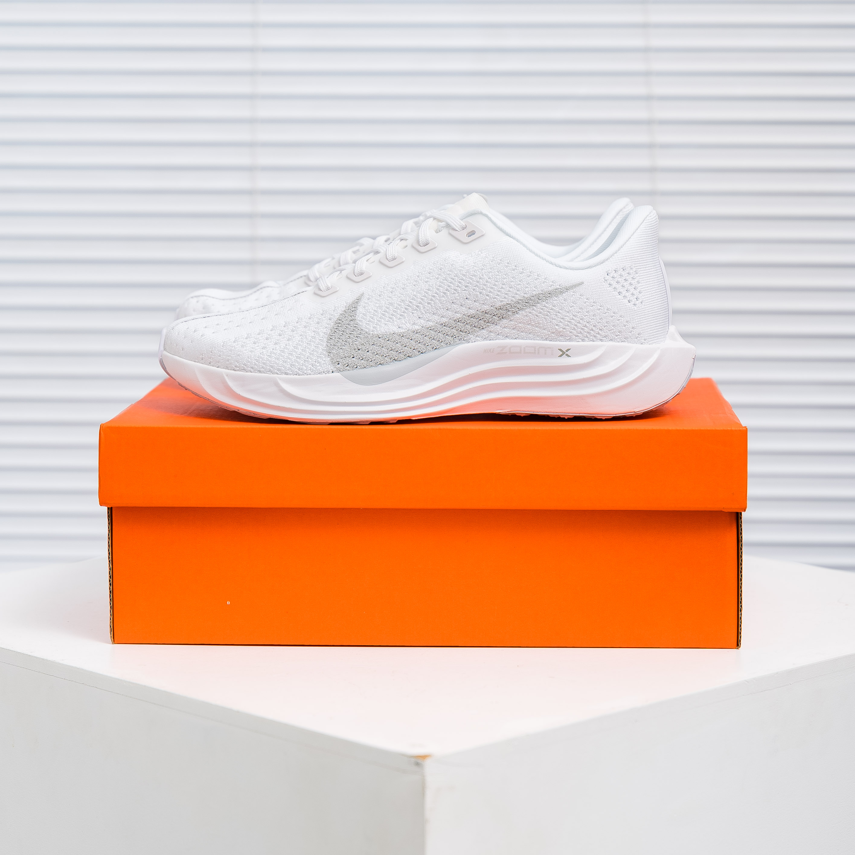 Nike Pegasus Plus (1:1)_img_3