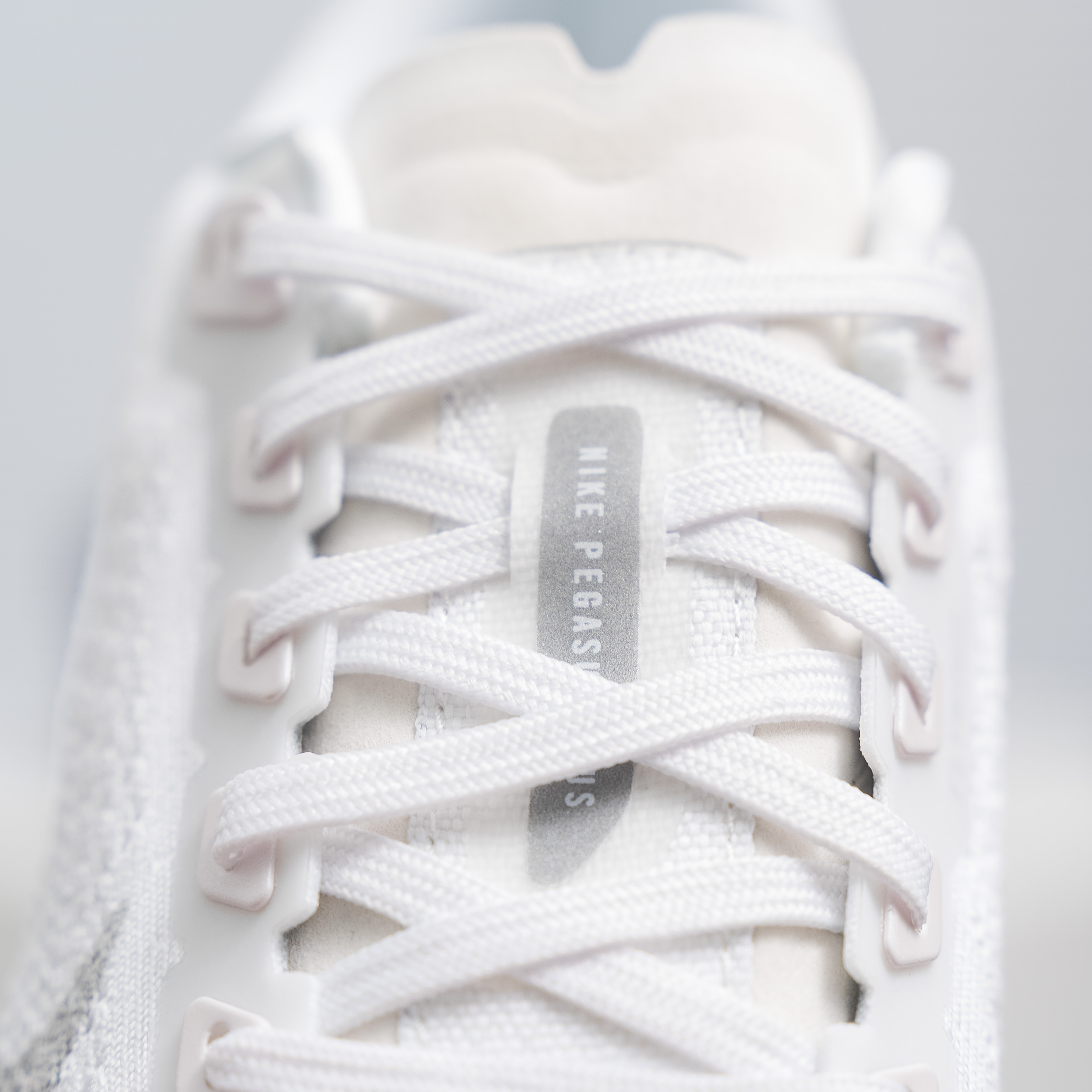 Nike Pegasus Plus (1:1)_img_5