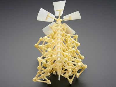 Strandbeest Kinetic Toy_img_1