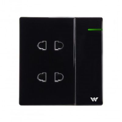 WC2PS 2 PIN SOCKET WITH SWITCH CRYSTAL_img_0