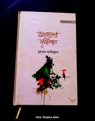 হুদহুদের দৃষ্টিপাত_img_0