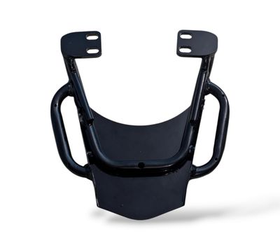 Premium Back Carrier With Handle For Apache RTR 160_img_1