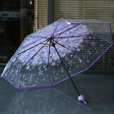 Transparent Umbrella_img_1