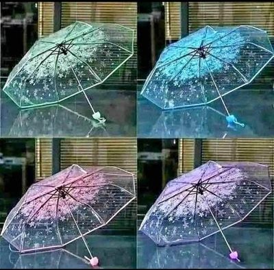 Transparent Umbrella_img_2