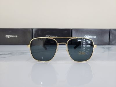 156 Premium Brand Sunglasses_img_6