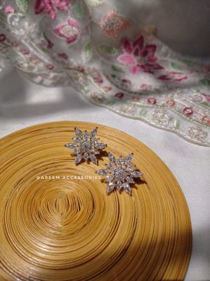 Snowflake_img_0