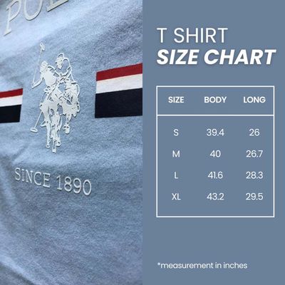 US Polo T Shirt Light Grey_img_2