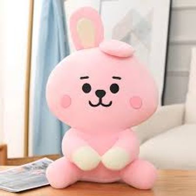 BT21 37-40 Cm Doll-Cooky_img_1