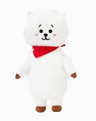 BT21 7 Inch Doll-RJ_img_0