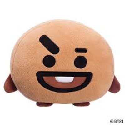 BT21 7 Inch Doll-Shooky_img_0