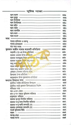 কাশফুল মাহজুব_img_14