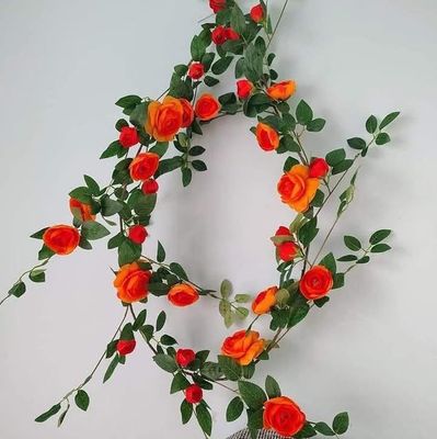 Most demanding rose vine_img_0