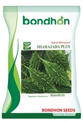 হাইব্রিড করলা-শাহাজাদা প্লাস_img_0