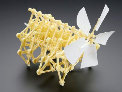 Strandbeest Kinetic Toy_img_0