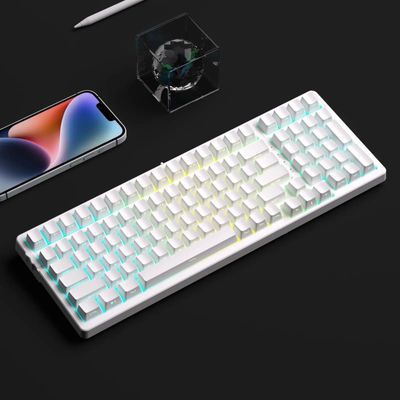 Side Engraved Blank Solid White PBT Keycaps_img_3