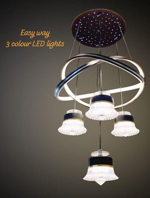Fancy Light_img_14