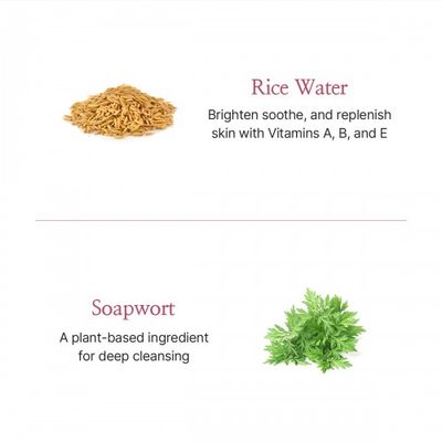 The Face Shop Rice Water Bright Foaming Cleanser – 150ml - 550997_img_9